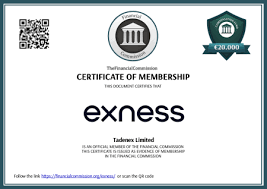 Who Owns Exness A Comprehensive Overview of Ownership and Management